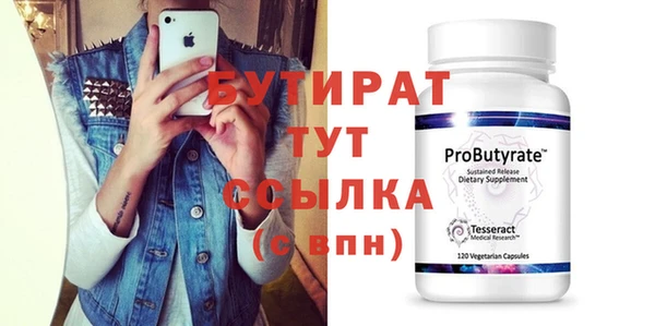 индика Няндома