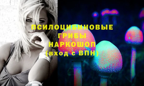 индика Няндома