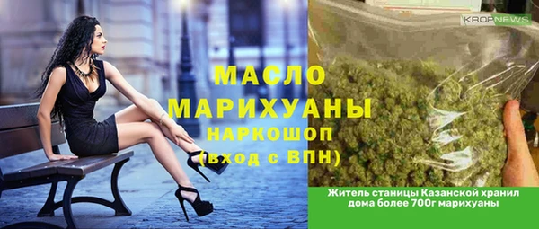 индика Няндома