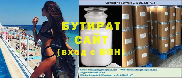 индика Няндома